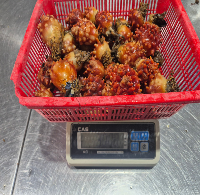 ★KakaoTalk_20260123_115032859_03.jpg