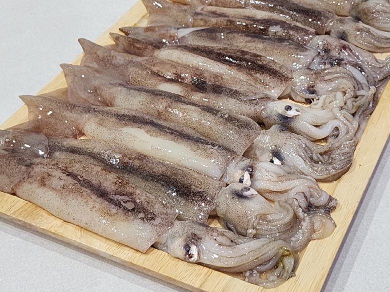 [크기변환]KakaoTalk_20250205_214141046_03.jpg